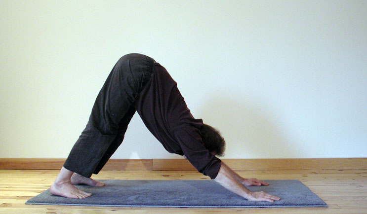 Yoga posture: marjariasana, posture du chat. Des centaines de photos, de videos, d articles sur le site www.natha-yoga.com - 2011