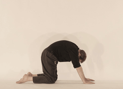 Yoga posture. Expiration du chat, marjariasana. C.Tikhomiroff/2010 - www.natha-yoga.com