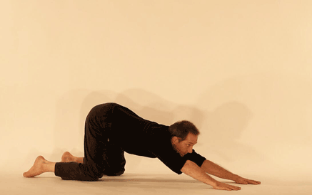 Yoga posture. Posture du chat2, marjariasana. C.Tikhomiroff/2010 - www.natha-yoga.com