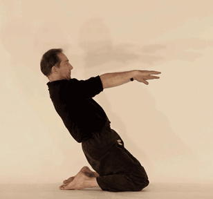 Yoga posture. Vamcasana, posture du roseaut4. C.Tikhomiroff/2010 - www.natha-yoga.com