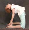 images yoga yoga.com ushtra asana