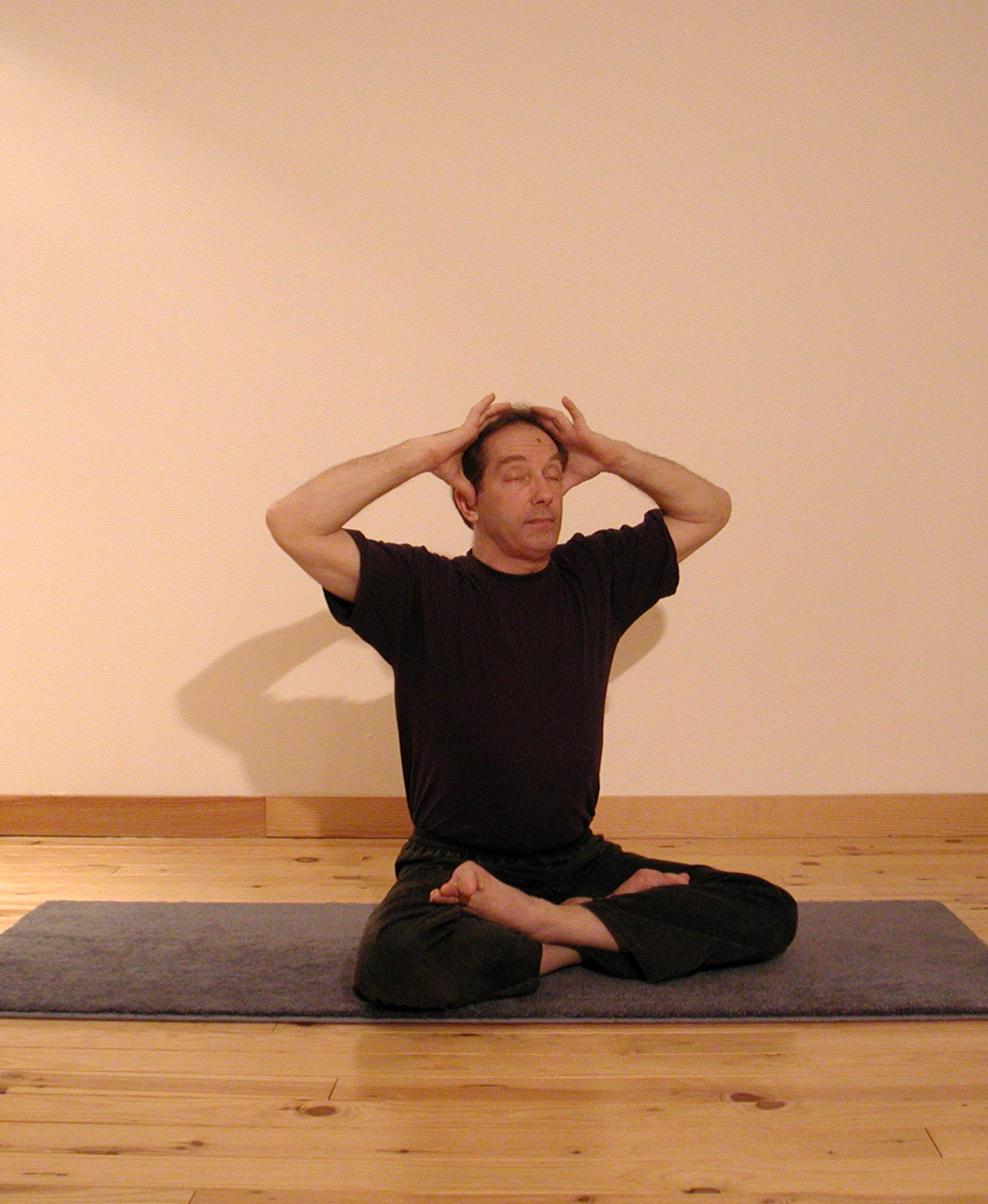 Yoga respiration: bhramari, la respiration de l'abeille. Des centaines de photos, de videos, d'articles sur le site www.natha-yoga.com - 2011