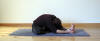 images yoga, ardha pashimottanasana, www.natha-yoga.com